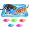 Cat Water Play Mat
